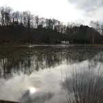 Modern In Eifel Near Forest Appartamento