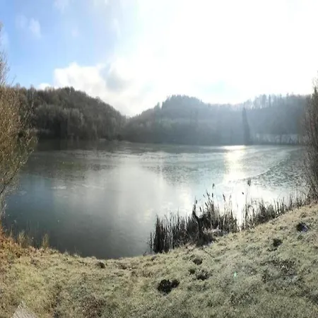 公寓 Modern In Eifel Near Forest