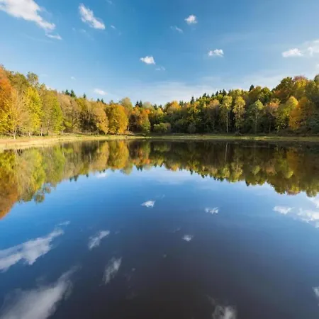 Modern In Eifel Near Forest 公寓 Dohm-Lammersdorf