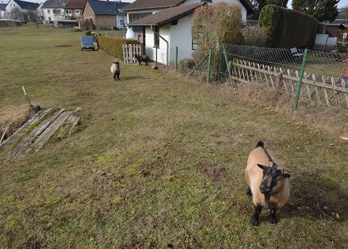 Apartment Modern In Eifel Near Forest