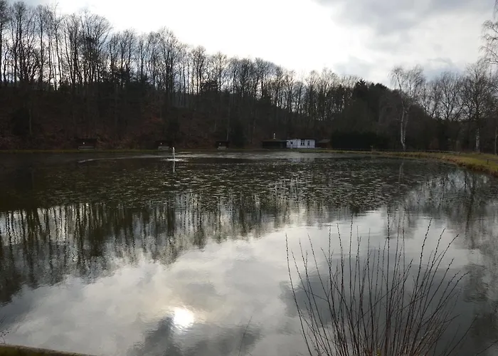 Modern In Eifel Near Forest Apartment