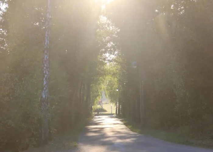 Modern In Eifel Near Forest Apartment