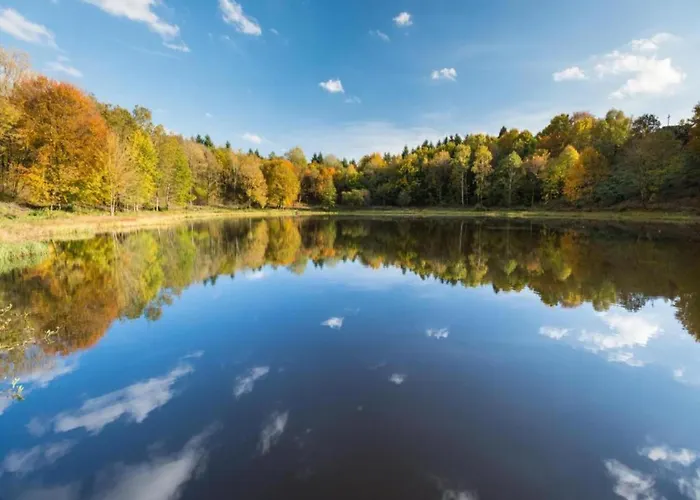 Modern In Eifel Near Forest Appartement Dohm-Lammersdorf