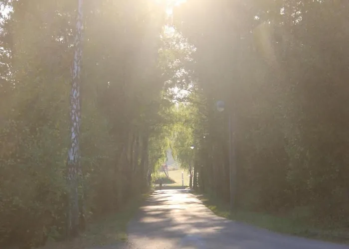 Appartement Modern In Eifel Near Forest
